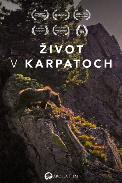 Póster de Zivot v Karpatoch