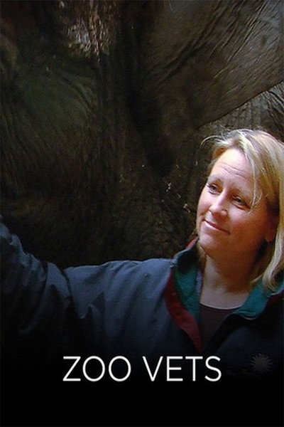 Póster de Zoo Vets